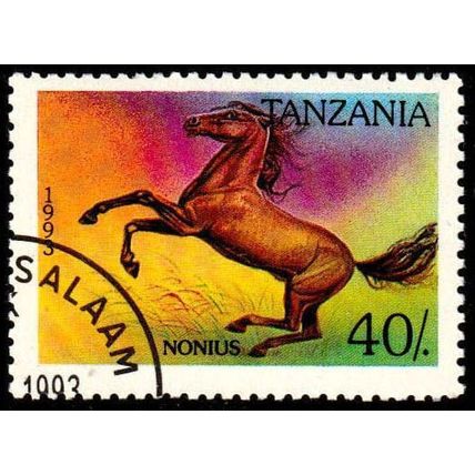 Africa Tanzania 1993 Horse 40/- Used Stamp Nonius.