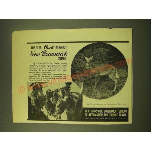 1949 New Brunswick Canada Ad - This year, hunt in nearby New Brunswick Canada