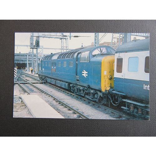 Deltic 55017 The Durham Light Infantry at Kings Cross Postcard
