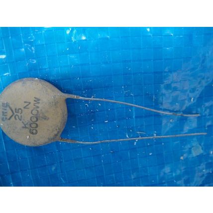 NOS 2 X 25pF Capacitors 6KV