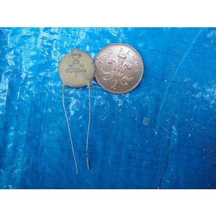 NOS 2 X 25pF Capacitors 6KV