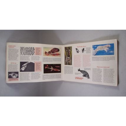 Brooke Bond Tea Card Album: 1976 Wonders of Wildlife, With All Cards