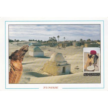 Desert Village Tunisia Postcard posted 2006 VGC