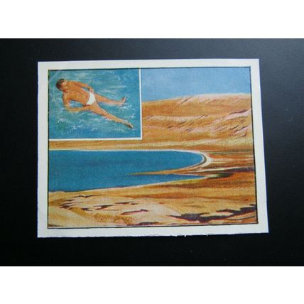 J. Bibby & Sons Cooking Fat 1955 This Wonderful World Card Variants (e31)