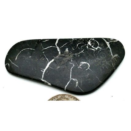 Black Septarian Freeform Gemstone Cabochon 466