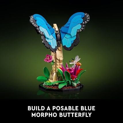 LEGO Ideas the Insect Collection - Collectible Model Building Kit for Adults, Ag