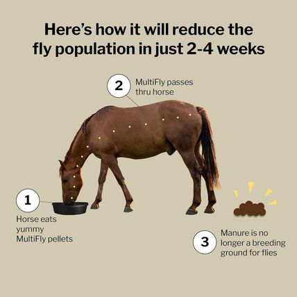 Formula 707 Multifly Feed-Thru Fly Control Pellets for Horses - Palatable & Safe