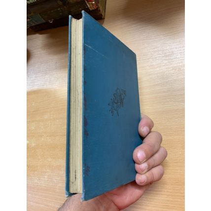 c1891 "DAVID LIVINGSTONE" BIOGRAPHY ARTHUR MONTEFIORE ILLUSTRATED HB BOOK (P4)
