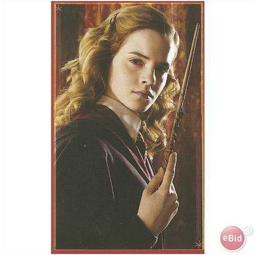 Panini's Magical World of Harry Potter Sticker No. 17