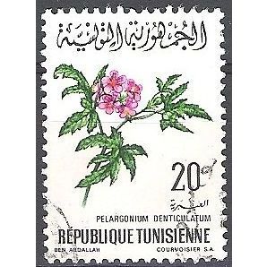 Tunisie 1969 Michel 719 O Cote (2005) 0.30 Euro Fleur Pélargonium denticulatum