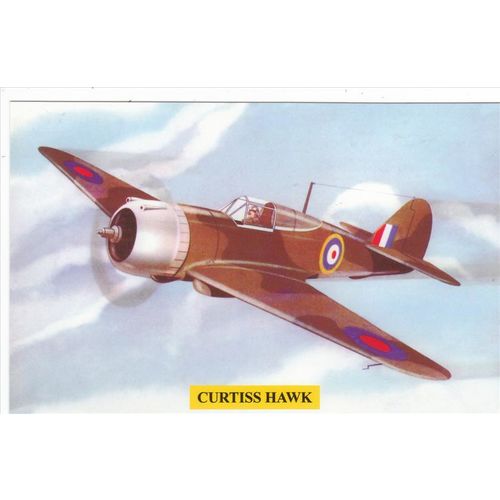Artist Drawn Curtiss Hawk Military Aircraft Postcard (AM1849)