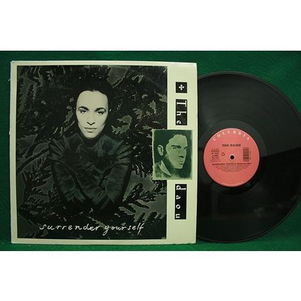 Daou - Surrender Yourself - 12” Single - 44 74291 - NM