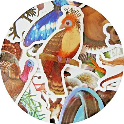 25 Wildlife Stickers Loose Random Selection Fun Scrapbooking Decorate ST27
