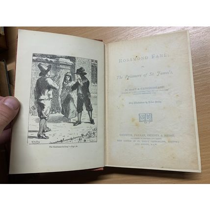 RARE* 1880s MARY & CATHERINE LEE "ROSAMOND FANE" FICTION ANTIQUE BOOK (P4)