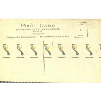 Derwentwater, Cumbria, 100 Rare RP Pettitts Postcard