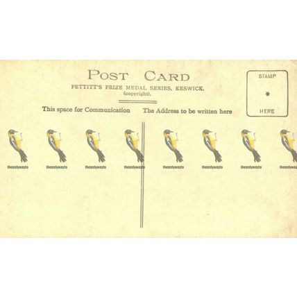 Thirlmere & Helvellyn, Cumbria, Rare 1063 RP Pettitts Postcard