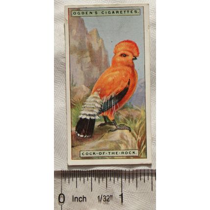 1924 Ogden's Foreign Birds No. 9 Cock-of-the-Rock