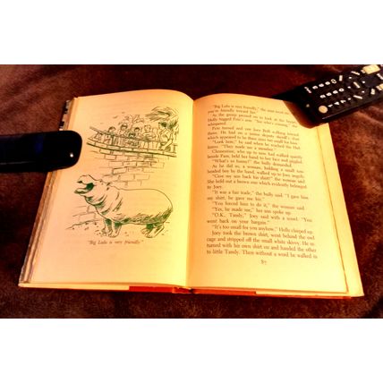The Happy Hollister's And The Sea Turtle Mystery By Jerry West W/Dustjacket 1964
