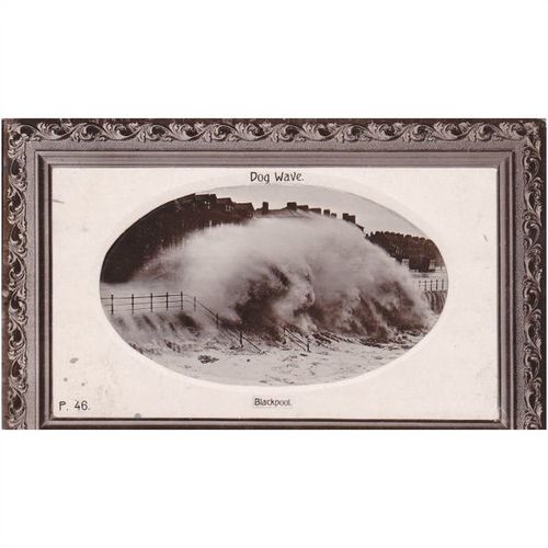 Dog Wave, Blackpool Lancashire Postcard (LAN70493)