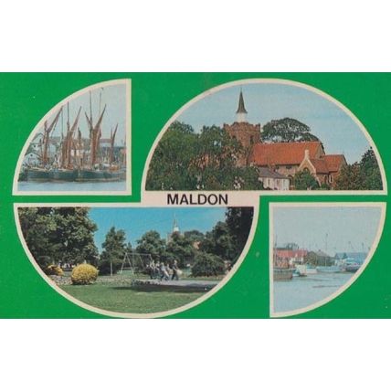 Maldon Essex 1970s Children Playing In Gardens of Park Swing Swings Postcard