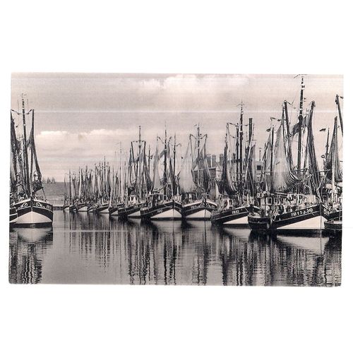 FRIEDRICHSKOOG, Nordsee, GERMANY unused postcard black & white =