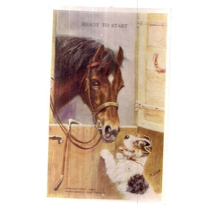 EXMOOR PONY & WIRE-HAIRED FOX TERRIER by Mabel Gear..unused vintage postcard =