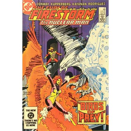 Firestorm (Vol 2) The Fury of # 027 VFN+ ORIG US COMICS
