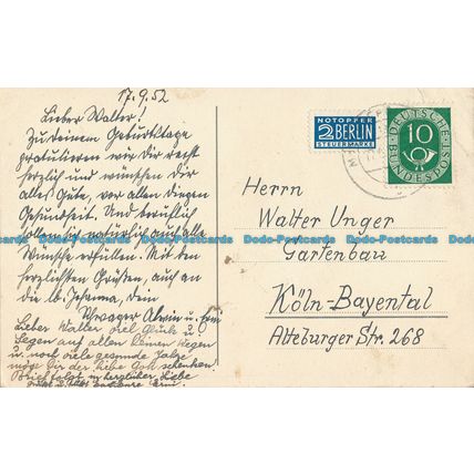 R091544 Old Postcard. Rose