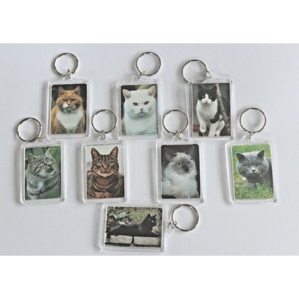 CAT BREED KEY RINGS QUALITY ACRYLIC DOUBLE SIDED PHOTO KEY RINGS 8 BREEDS