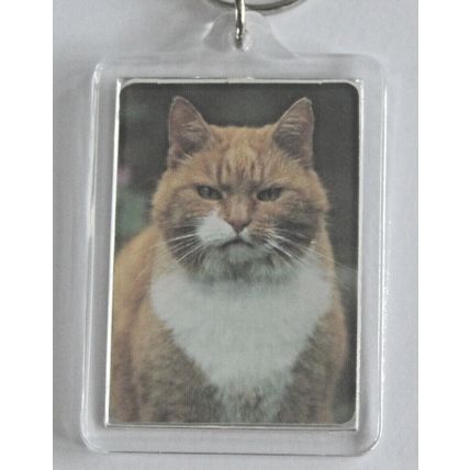 CAT BREED KEY RINGS QUALITY ACRYLIC DOUBLE SIDED PHOTO KEY RINGS 8 BREEDS