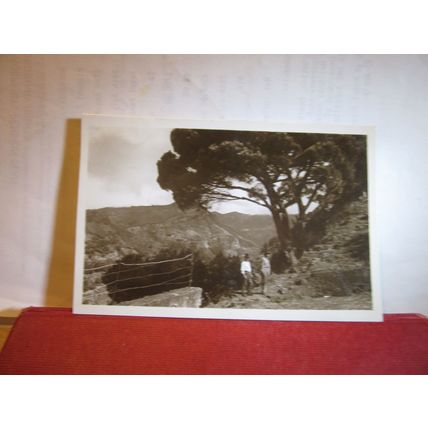 near CHOUPANA, MADEIRA, PORTUGAL unused postcard RP =
