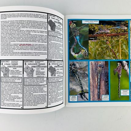 Dragonflies of Wisconsin Paperback Book by Karl Legler 2007