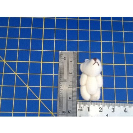 Creamy White Teddy - Miniature