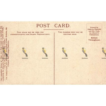 Eastgate, Chester, Cheshire, Shurey's Postcard