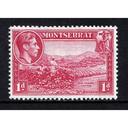 Montserrat KGVI 1938-48 1d Carmine Cotton P13 SG102 Mint MH
