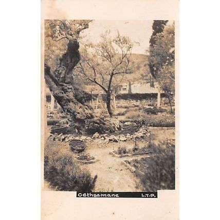 Gethsemane LTP : a photo-style postcard view