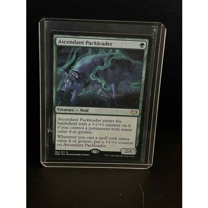 Ascendant Packleader Innistrad: Crimson Vow Magic: The Gathering Trading Card