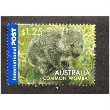 AUS 2006 $1.25 'COMMON WOMBAT' FINE USED (EBID2866)