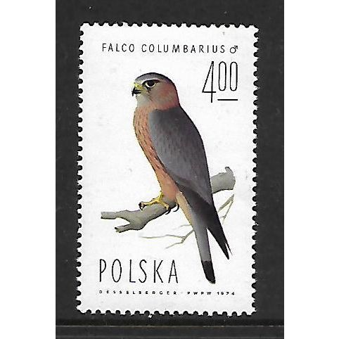 POLAND 1975 4z MERLIN SG2347 U/M MINT