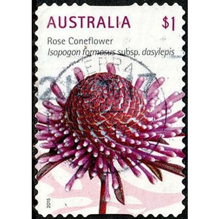 Australia 2015 Wildflowers $1.00 Used Stamp Rose Coneflower .