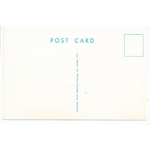 Sea Eel Rude Comic Humour Funny Trow Postcard 11971