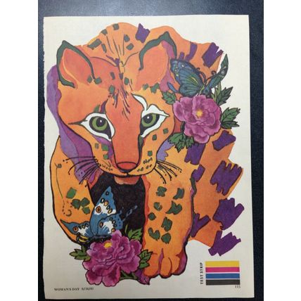 Heat Transfer Iron on Decal Cat Butterfly Flower Woman's Day Magazine June 1981