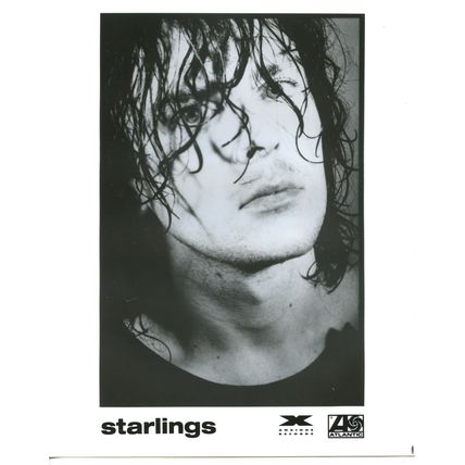 Starlings Music Star 8x10 Original photo #B1052