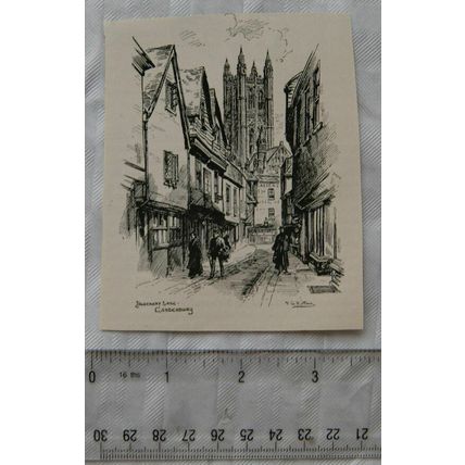 Vintage engraving - Butchery Lane, Canterbury