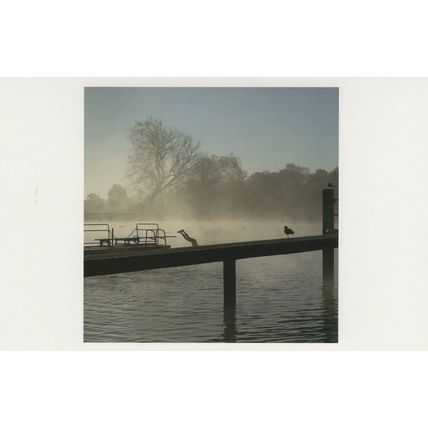 Boy Bird Circus Style Handstand on Hampstead Bridge London Postcard