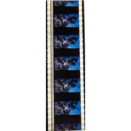 Pk GEB - S - MIX - E 0122r . 1 STRIP OF 5 - 35MM FILM CELLS. (Santa Claus movie)