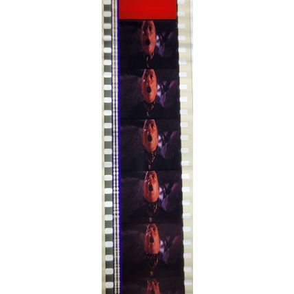 VAMPIRES. Pk MTP - A013m . 1 STRIP OF 5 - 35MM FILM CELLS. MTP