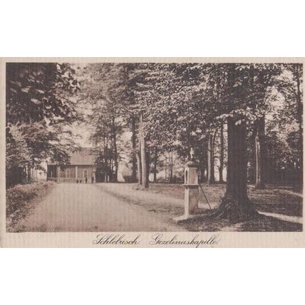 Schlebusch Woodland Germany Antique Old Postcard