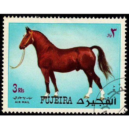 Fujeira 1972 Animal Horse 3R Used Stamp