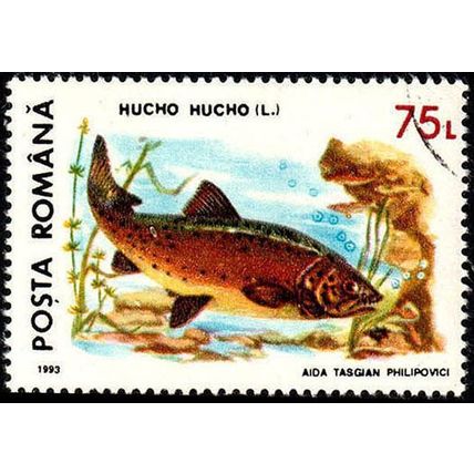 Romania 1993 Fish 75L Used Stamp